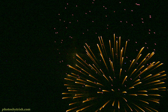 4July06 034