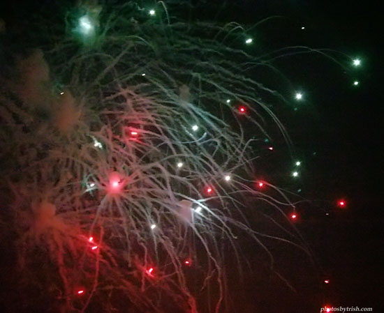 4July06 097