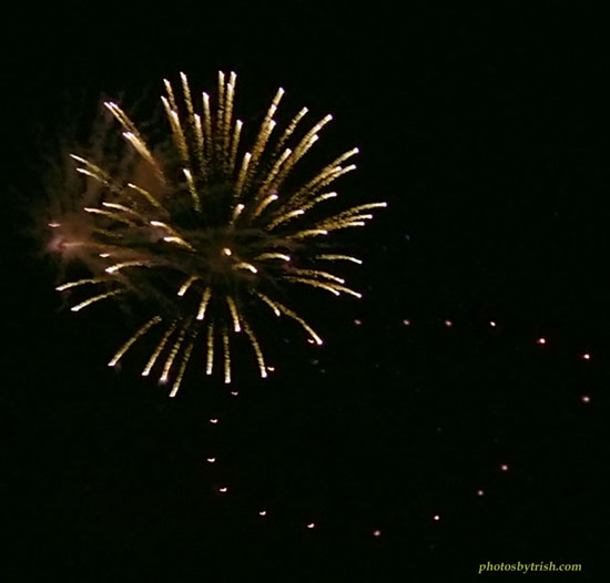 4July06 124