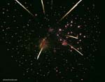 4July06 074