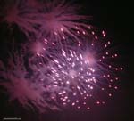 4July06 125